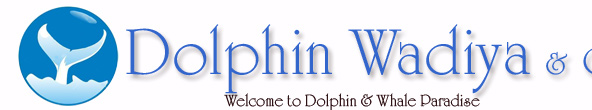 Dolphin Wadiya